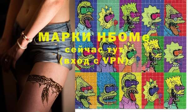 дурь Осташков
