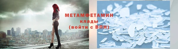 трава Аркадак
