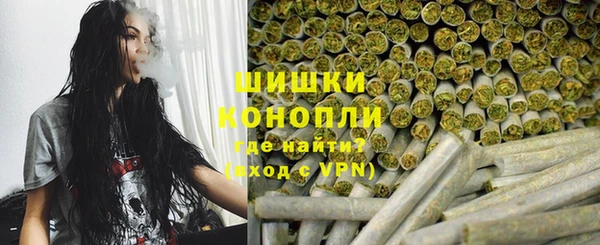трава Аркадак