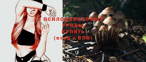 не бодяженный Арсеньев