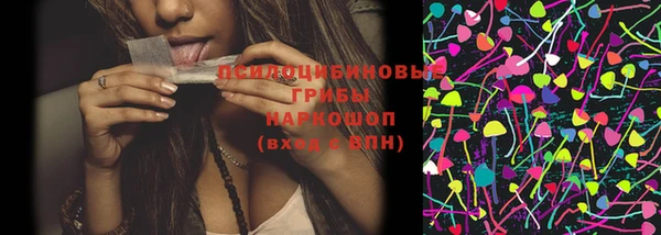 дурь Осташков